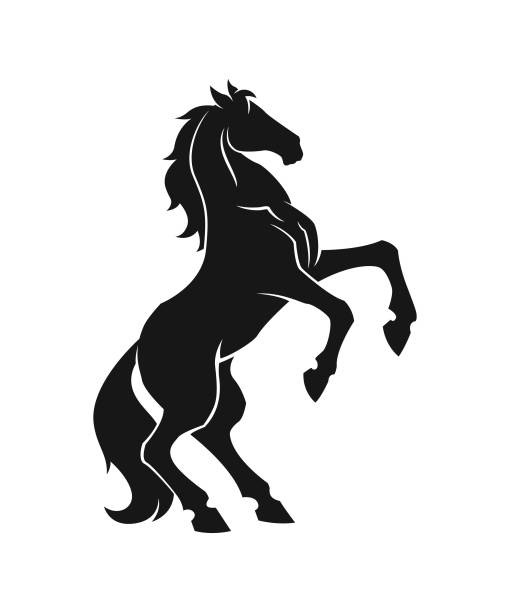illustrations, cliparts, dessins animés et icônes de cheval cabré découpé silhouette - icône de cheval vectoriel, badge, autocollant - cheval