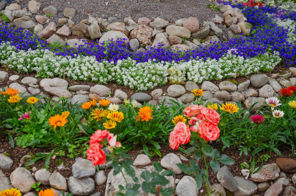 landscape composition of different flowers and stones. High quality photo