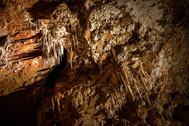 istock Staligtite ceiling pencil straw decoration in Fig Tree Cave at Wombeyan Karst Conservation reserve 2168900995