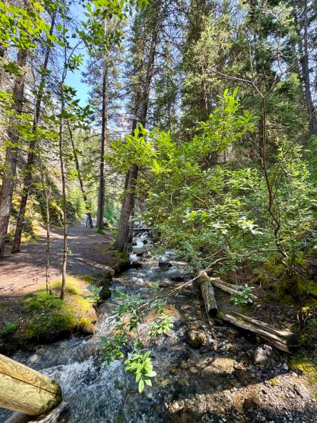 istock Hiking Banff National Park Canada 2168907218