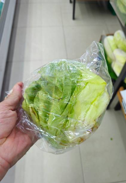 istock Close up of man's hand holding lettuce 2168909274