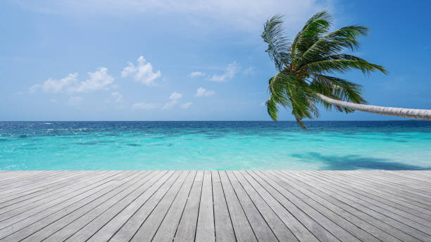 Boardwalk beside tropical turquoise sea