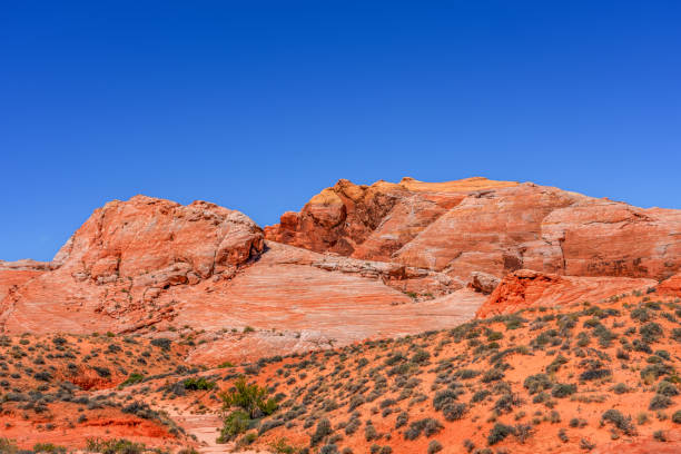 istock Valley of fire state park,, Nevada, USA 2168914996