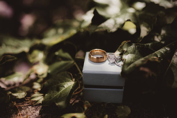 A minimalist and elegant composition featuring two silver wedding rings placed on a weathered grey wooden surface. The image is artistically framed with a blurred green leaf element in the corner, creating a natural and organic feel. The textured wood grain provides a rustic backdrop that contrasts beautifully with the polished metal rings. This atmospheric photograph captures an intimate moment of wedding preparation, perfect for wedding planning, bridal magazines, and romantic content.