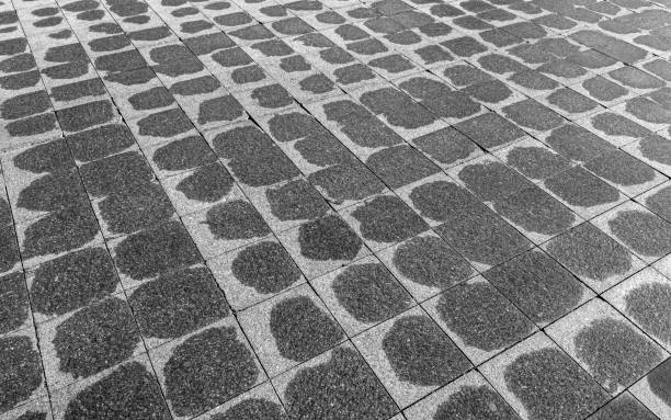 perspective view of granite pavement. urban sidewalk after rain.