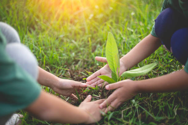 istock Two children are planting a seedling in the grass 2168930103