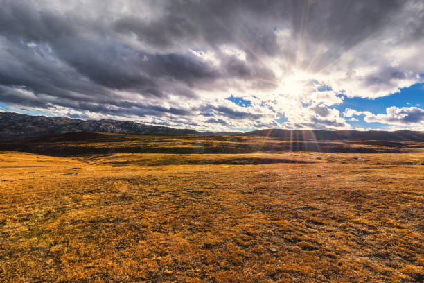 istock Haizishan Nature Reserve, Sichuan, China 2168930937