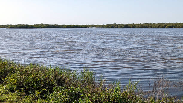 istock A Sunny Day at a Lagoon 2168934183