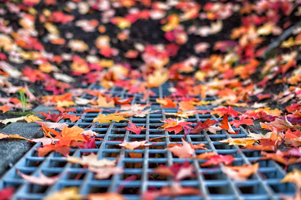 Gene Coulon Memorial Beach Park Renton Washington, United States