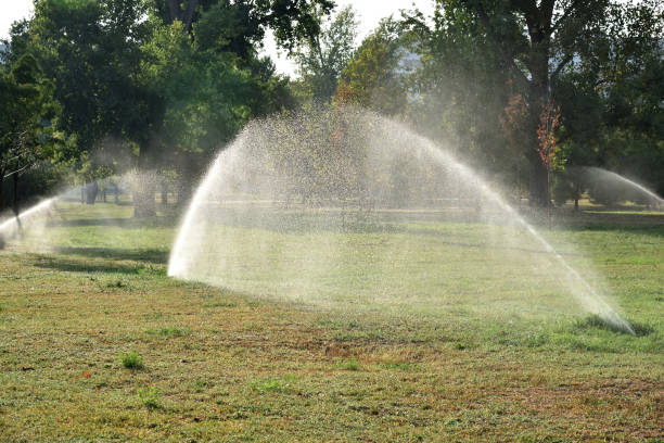 istock Automatic sprinkler system watering the lawn in the morning 2168937686