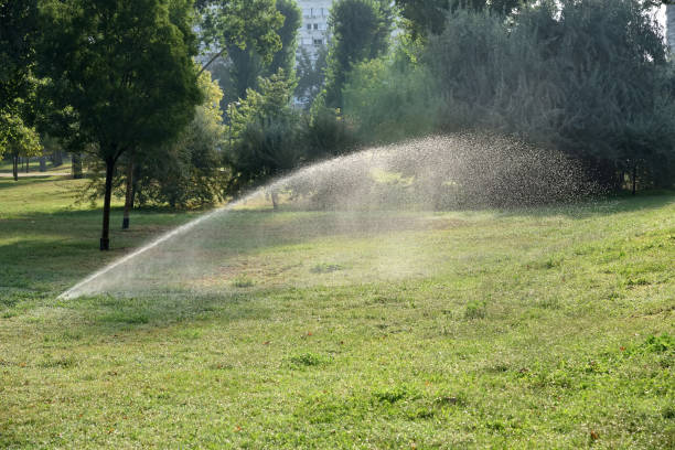 istock Automatic sprinkler system watering the lawn in the morning 2168937717