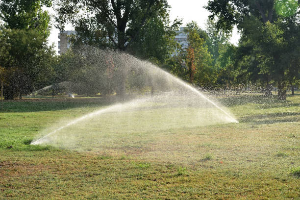 istock Automatic sprinkler system watering the lawn in the morning 2168937722