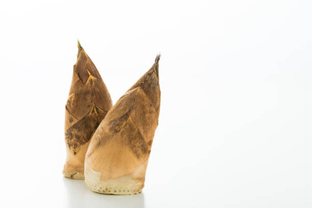 Ouma bamboo shoots are a staple spring vegetable with high brand value