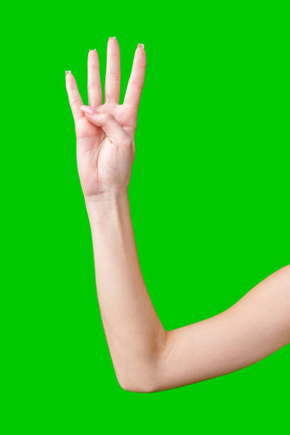 istock Woman's Hand Showing Number Against Green Screen 2168943156