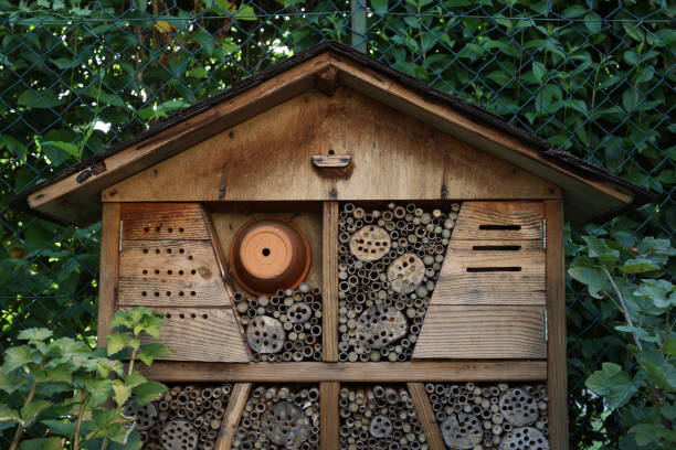istock Close-up of the insect hotel 2168943331