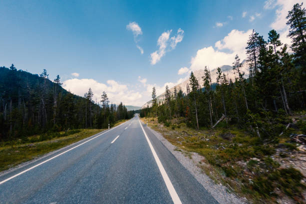 Scenic view of highway running alongside forest with trees flanking both sides and set against backdrop of cloudy sky.