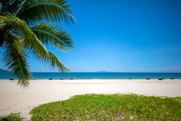 Danang beach view with big waves.\nSouth China Sea - Vietnam.