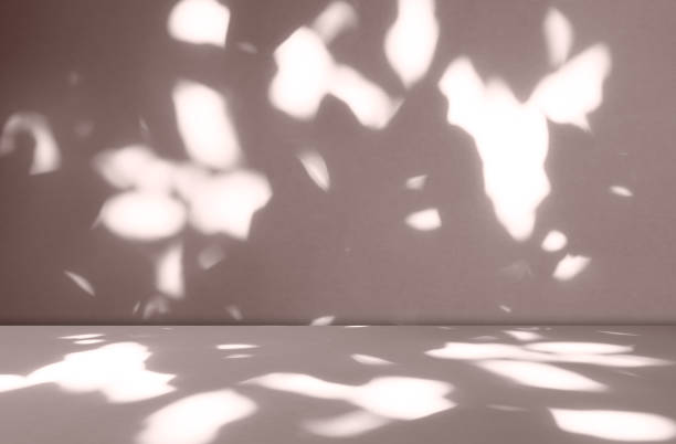 istock Autumn background brown beige studio room abstract shadow on wall floor blur cement, podium minimal cosmetic presentation, cement empty backdrop platform stage table loft scene mockup podium plant. 2168956630