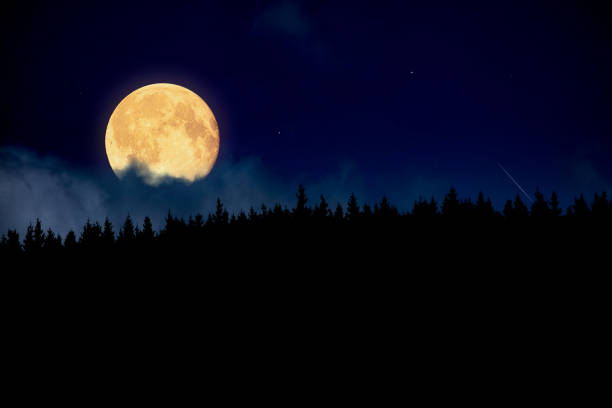 istock Full Moon, stars and landscape scenery silhouettes. 2168956663