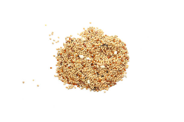 istock Mixed grains of various cereals scattered on a white background 2168958026