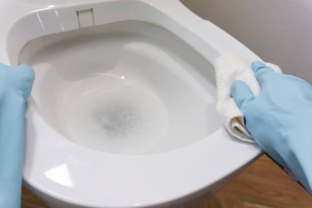 istock cleaning the toilet 2168958084