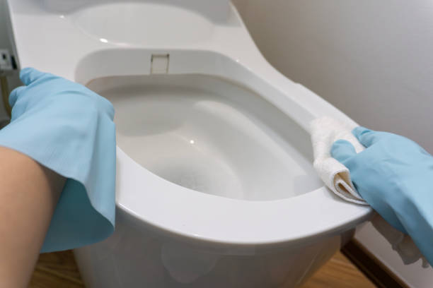 istock cleaning the toilet 2168958375