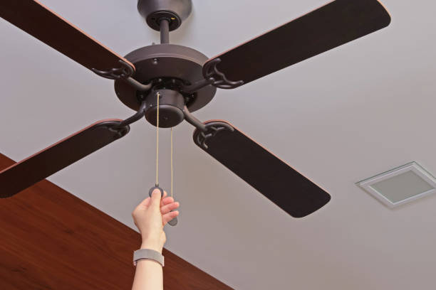 Wooden ceiling fan.