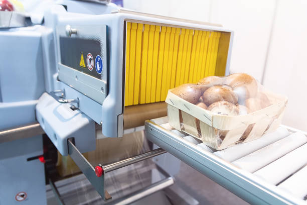 istock Vegetable packaging line at the factory 2168959120