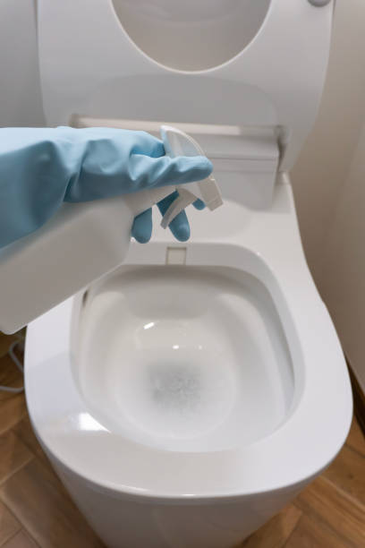 istock cleaning the toilet 2168959454