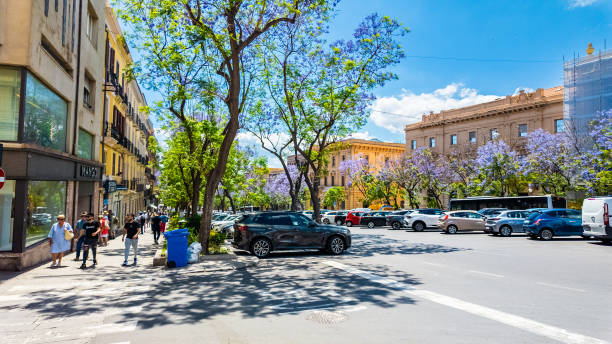 A busy urban intersection featuring blooming jacaranda trees with purple flowers. Cars and buses are stopped at the crosswalk, with a historic stone building in the background. Pedestrians walk along the sidewalks, enjoying the mild weather. The scene captures a lively moment in Cagliari with a mix of modern traffic and traditional architecture, framed by the vivid colors of the jacaranda trees.