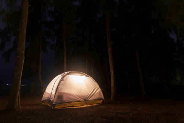 istock Forest Glow: Tent Light in the Evening Woods 2168968111