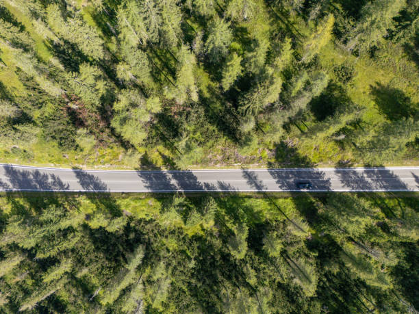 istock Aerial View of Forest Road Cutting Through Lush Greenery 2168968559