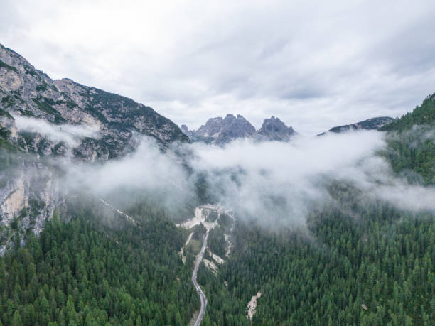 istock Misty Mountain Road with Dense Forest in Alpine Landscape 2168971121