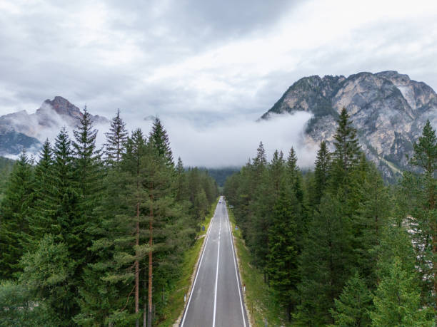 istock Straight Road Through Forest Leading to Misty Mountain Range 2168973252