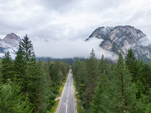 Aerial view of a straight road cutting through a dense forest, leading towards a mist-covered mountain range in the distance.