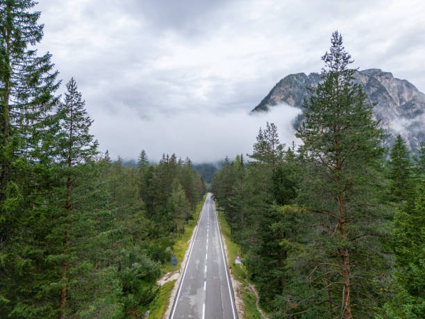 Aerial view of a straight road cutting through a dense forest, leading towards a mist-covered mountain range in the distance.
