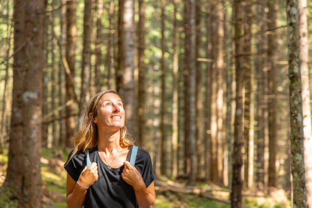 istock Woman Hiking Through Tall Trees in Sunlit Forest 2168975681