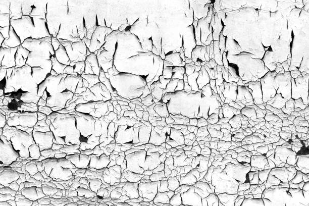 Distressed wall with flaking white paint with many peeling flakes forming a natural pattern. Abstract grunge background