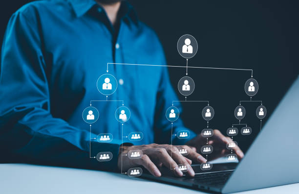 Organization chart and hierarchy structure employees in the company with departments in business. Working process and workflow automation with flowchart. Employee information, mindmap or organigram,