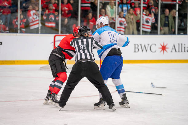istock Ice Hockey Players in a Mid-Game Fight 2168982332