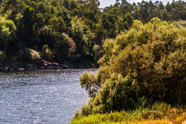 istock River that separates Spain and Portugal. 2168985380