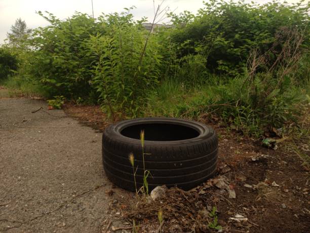 istock Old tire lying on the ground surrounded by vegetation 2168987611
