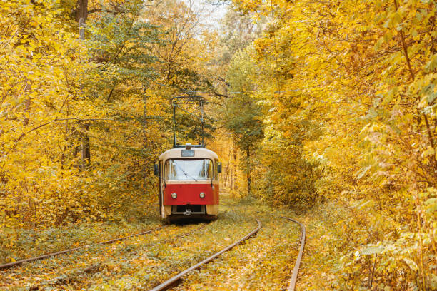 istock Old red tram moving through yellow autumn deciduous forest, fall landscape, ecological transport 2168990663