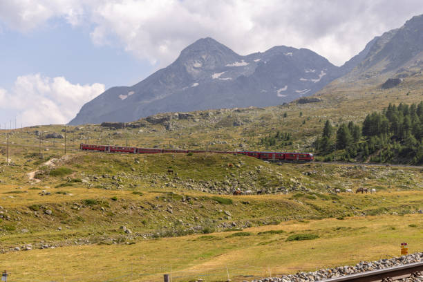 istock Red Train Traversing a Mountainous Landscape with Grazing Horses 2169004317