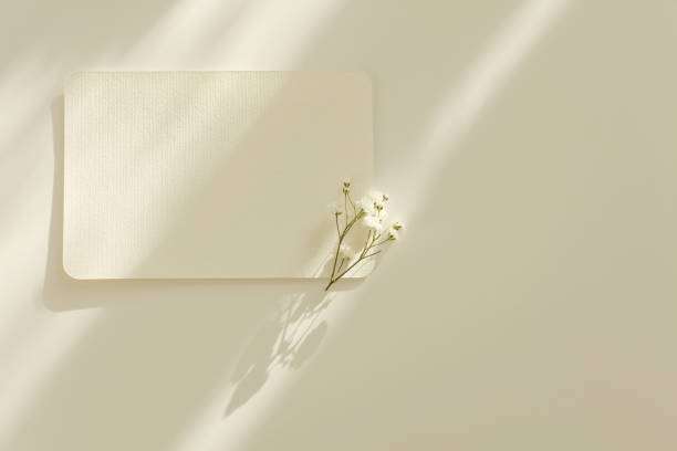 istock Empty copy space Blank texture canvas paper card with flower twig Light and shadows minimalism style template background. Flat lay, top view. Beige color. 2169004446