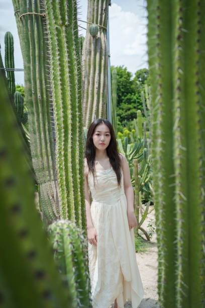 istock Young woman in cactus jungle 2169007600
