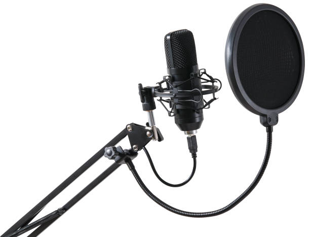 istock Professional studio microphone for voice recording with pop filter isolated on a white background. 2169015172