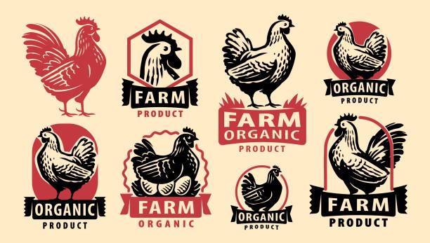 Healthy organic farm meat and eggs concept. Chicken logo elements. Set of emblems, badges, stamps vector illustration