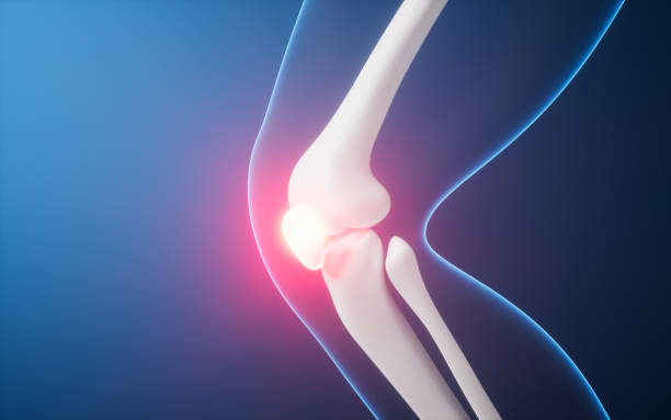 istock Leg bone in the transparent human body, 3d rendering. 2169022617