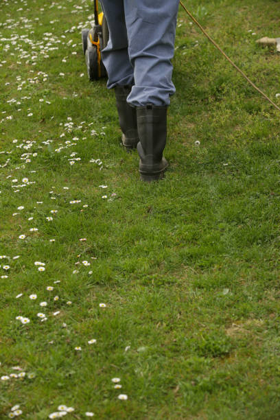Gardener in black rubber boots trimming lawn with mower